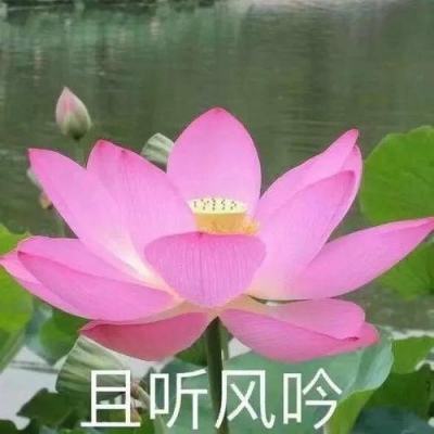 15版体育 - 成都懿锦控股队暂列围甲联赛榜首